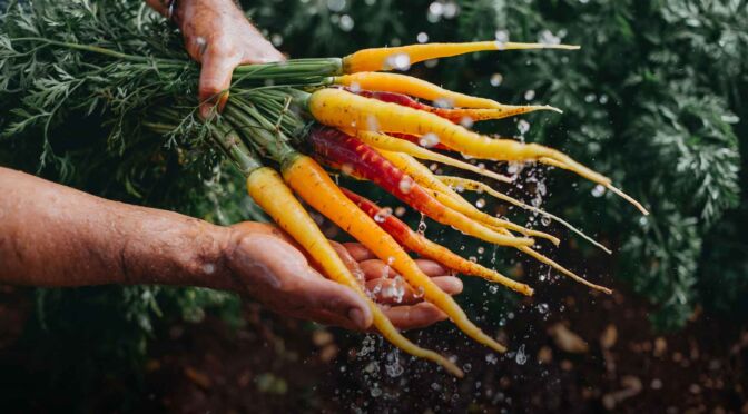 LA-VIOLA-DI-POLIGNANO-GALLERY (1)