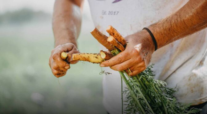 LA-VIOLA-DI-POLIGNANO-GALLERY (10)