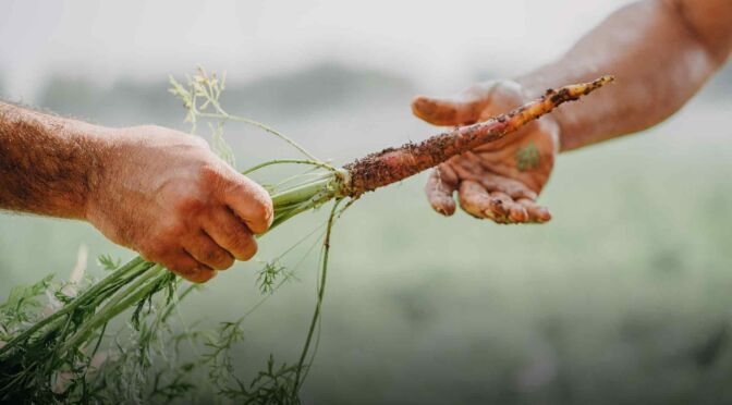 LA-VIOLA-DI-POLIGNANO-GALLERY (12)
