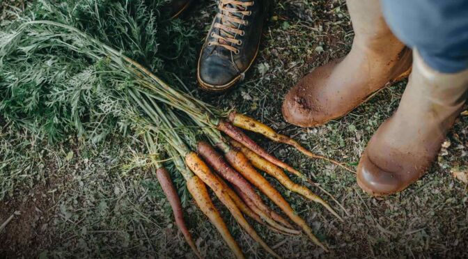 LA-VIOLA-DI-POLIGNANO-GALLERY (13)