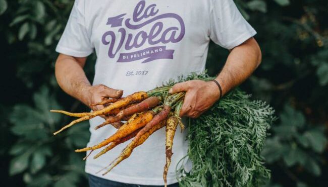 LA-VIOLA-DI-POLIGNANO-GALLERY (2)