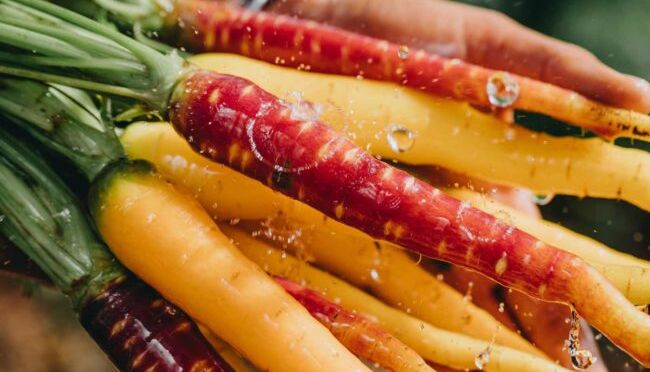 LA-VIOLA-DI-POLIGNANO-GALLERY (4)