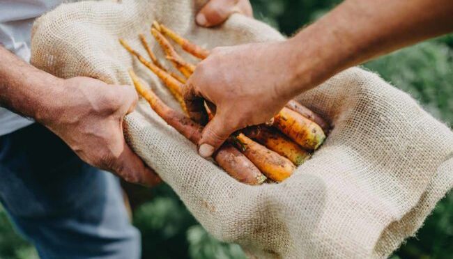 LA-VIOLA-DI-POLIGNANO-GALLERY (5)